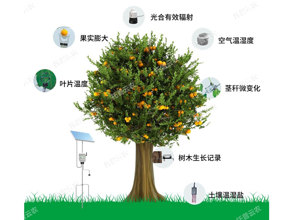 植物生理生態(tài)監(jiān)測系統(tǒng)：為監(jiān)測植物生理生態(tài)指標提供科學數(shù)據(jù)